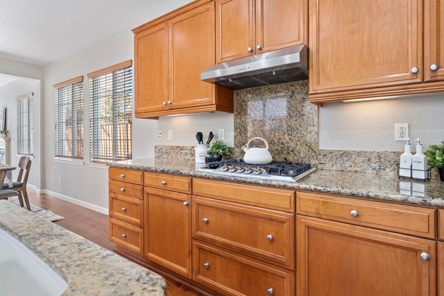 Detail Gallery Image 17 of 53 For 466 W Viento St, Mountain House,  CA 95391 - 4 Beds | 2/1 Baths