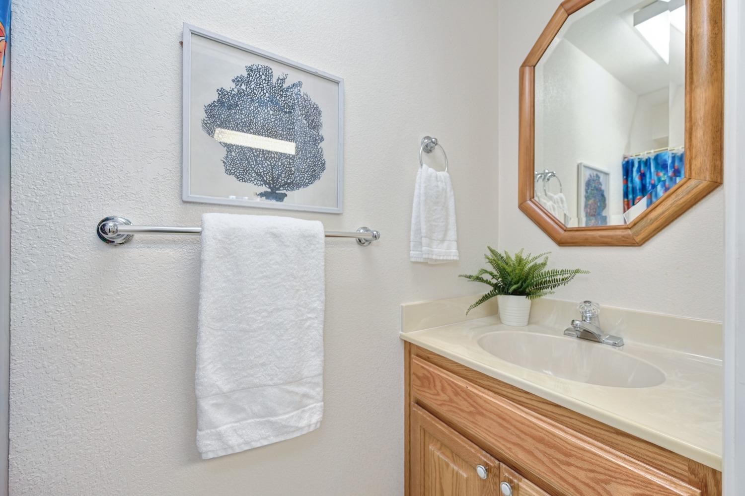 Detail Gallery Image 39 of 49 For 12210 Irish Ct, Jackson,  CA 95642 - 4 Beds | 2/1 Baths