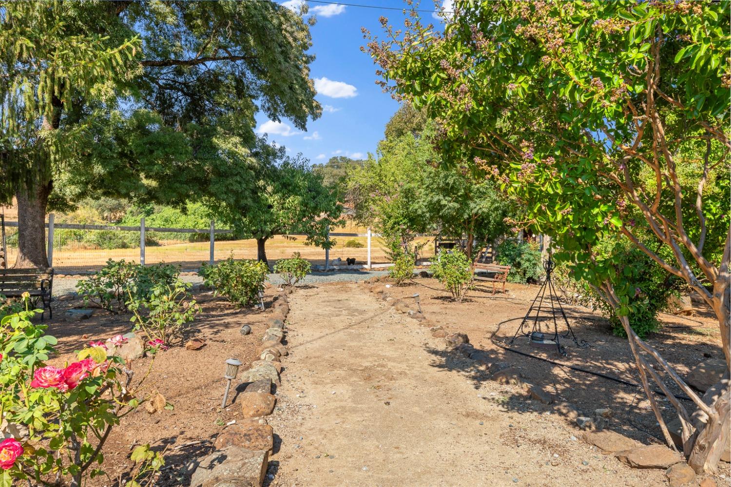 Detail Gallery Image 74 of 99 For 5981 Dolomite Dr, El Dorado,  CA 95623 - 4 Beds | 3 Baths