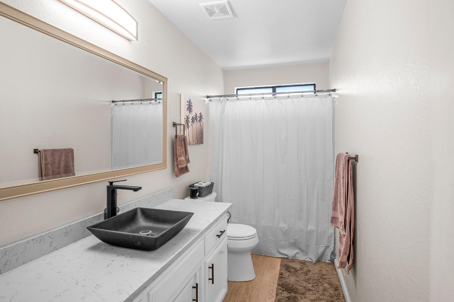 Detail Gallery Image 17 of 30 For 2118 Laura Ct, Hughson,  CA 95326 - 3 Beds | 2 Baths