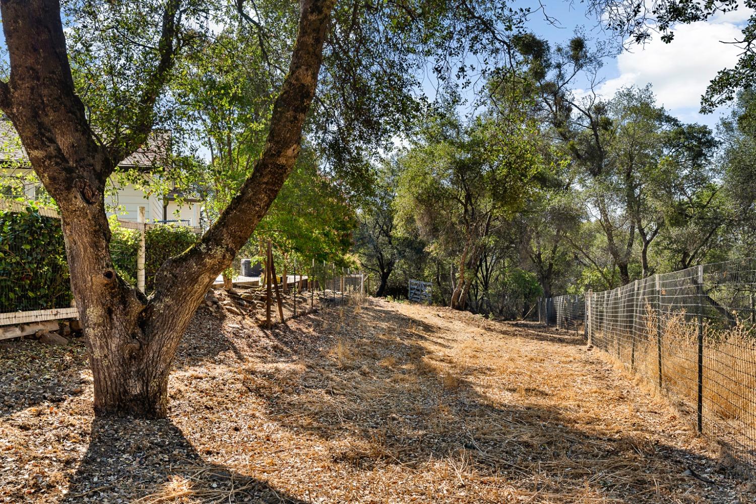 Detail Gallery Image 16 of 99 For 5981 Dolomite Dr, El Dorado,  CA 95623 - 4 Beds | 3 Baths