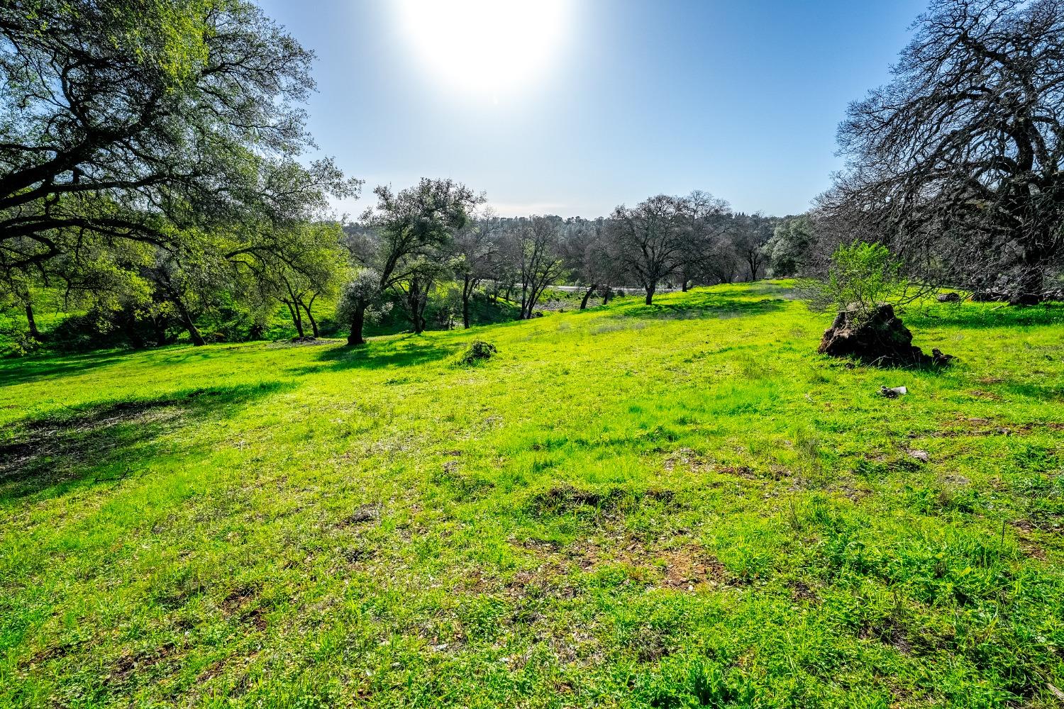 Detail Gallery Image 27 of 28 For 0 Steeple Chase, Shingle Springs,  CA 95682 - – Beds | – Baths