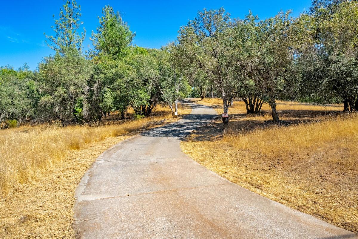 State Highway 193, Greenwood, California image 3