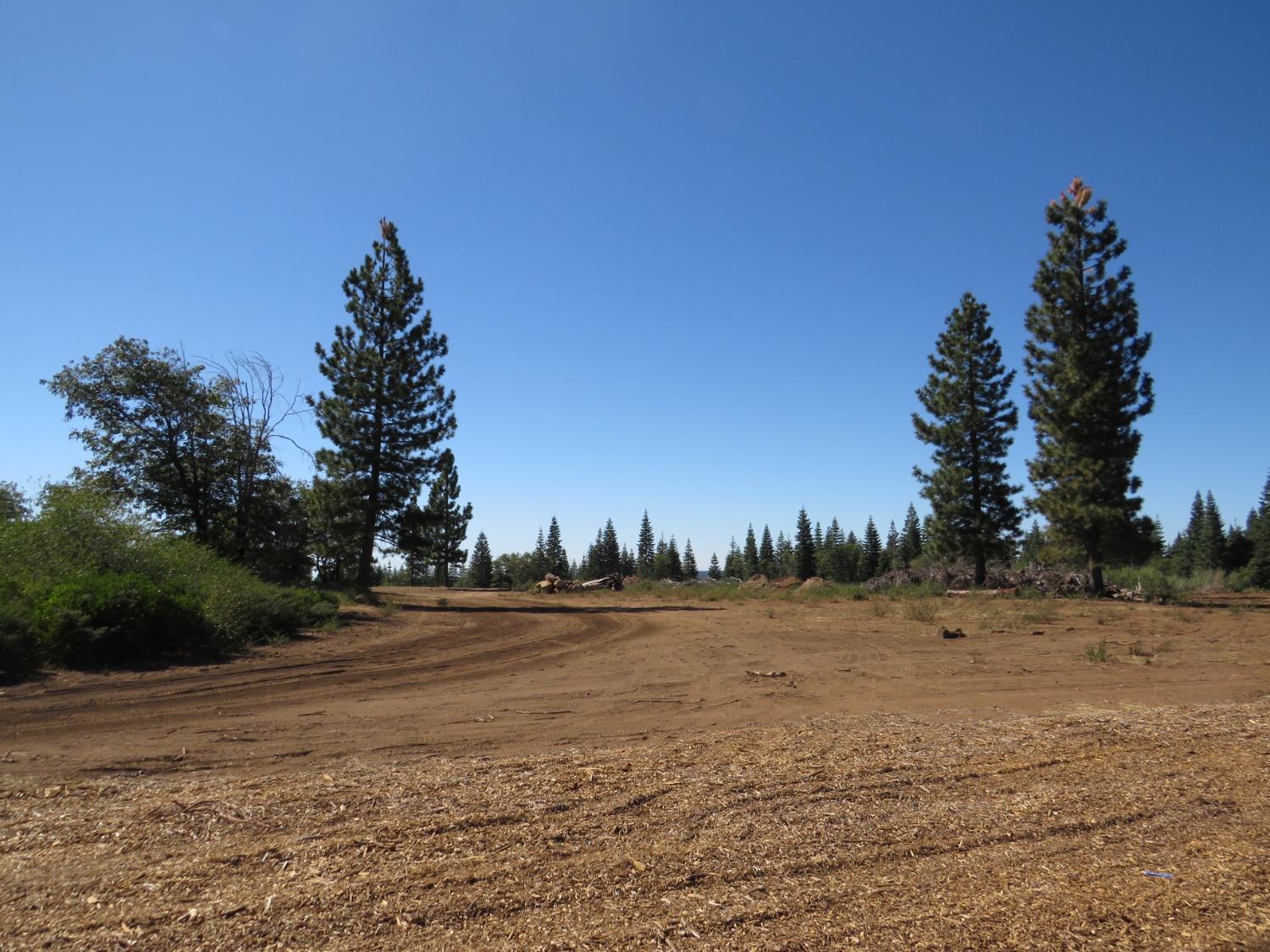 Detail Gallery Image 4 of 32 For 0 36.1 Acres -  Kearsarge Mill Rd, Alta,  CA 95701 - – Beds | – Baths