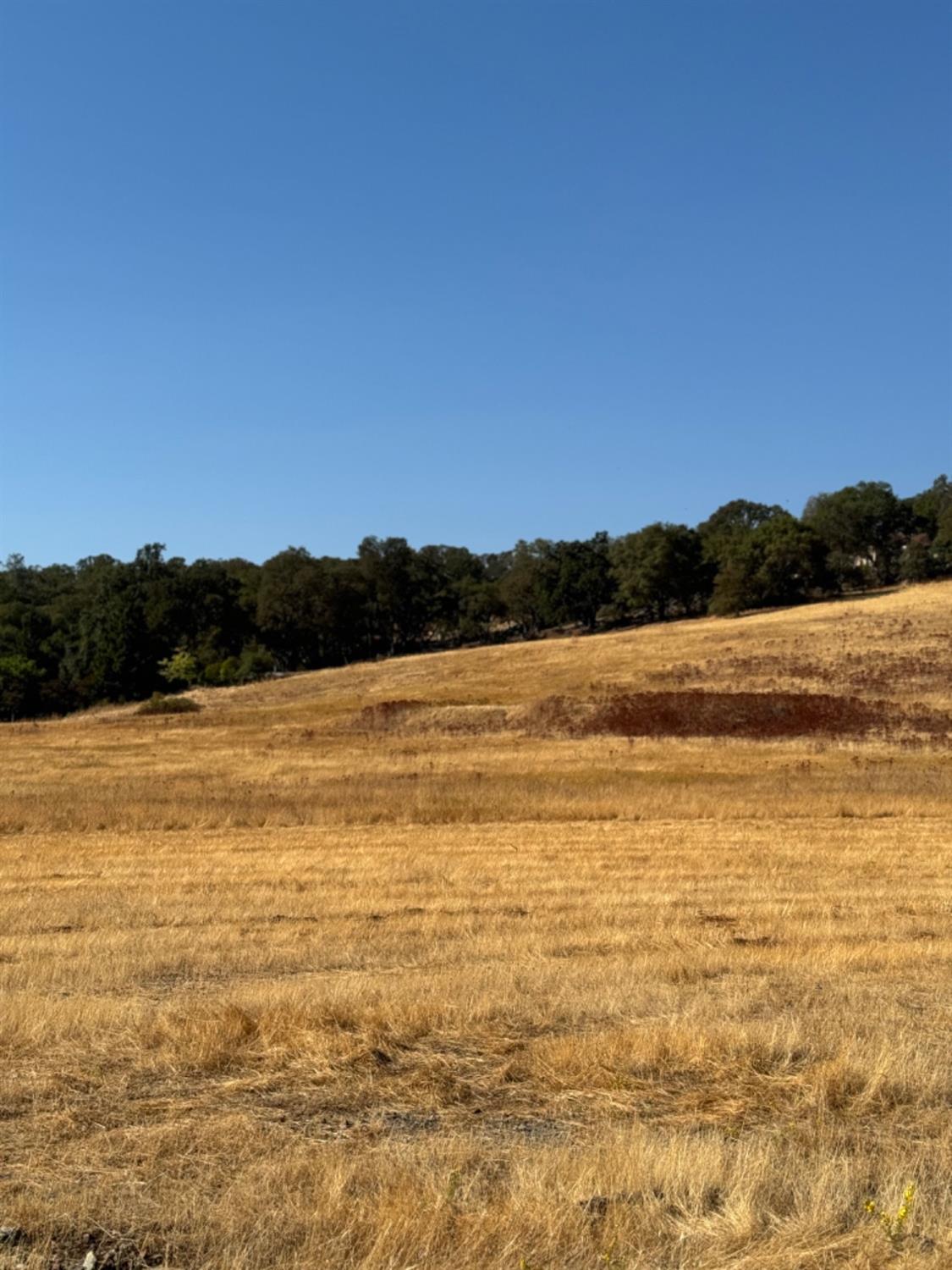 Detail Gallery Image 6 of 19 For 0 Hollow Oak, El Dorado Hills,  CA 95762 - – Beds | – Baths