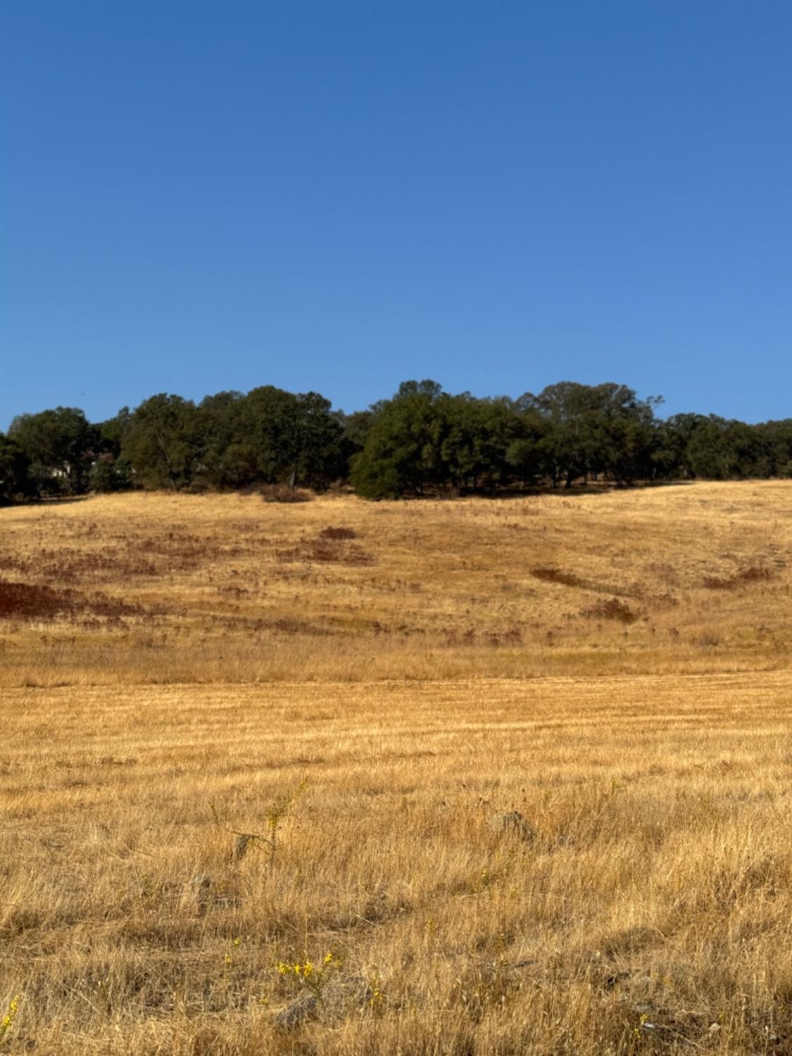 Detail Gallery Image 7 of 19 For 0 Hollow Oak, El Dorado Hills,  CA 95762 - – Beds | – Baths