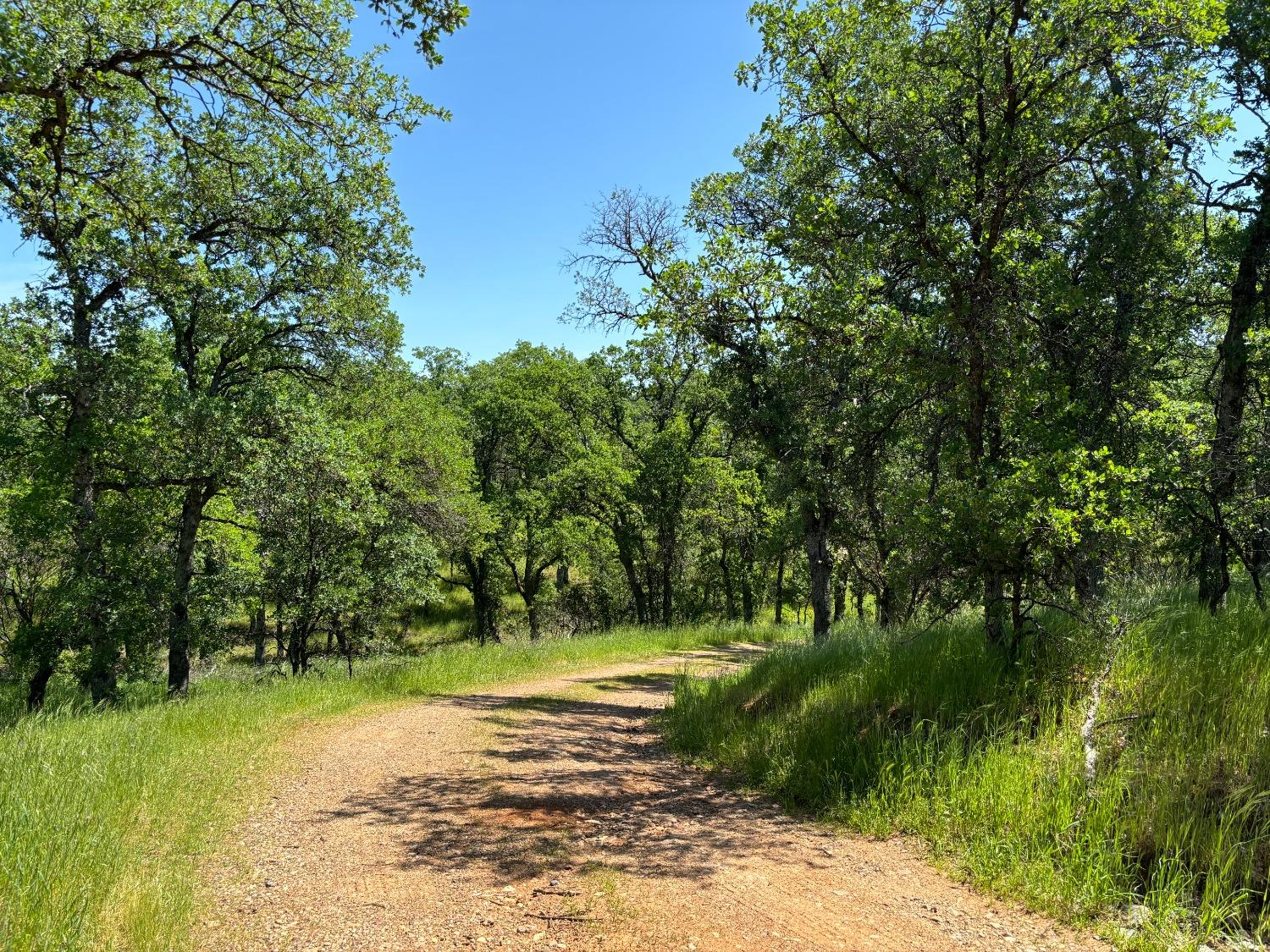 Todd Way, Cottonwood, California image 5