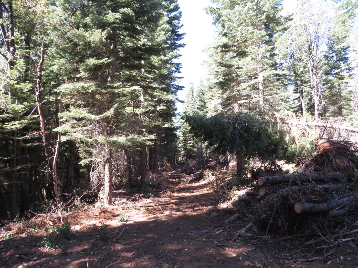 Detail Gallery Image 25 of 32 For 0 36.1 Acres -  Kearsarge Mill Rd, Alta,  CA 95701 - – Beds | – Baths