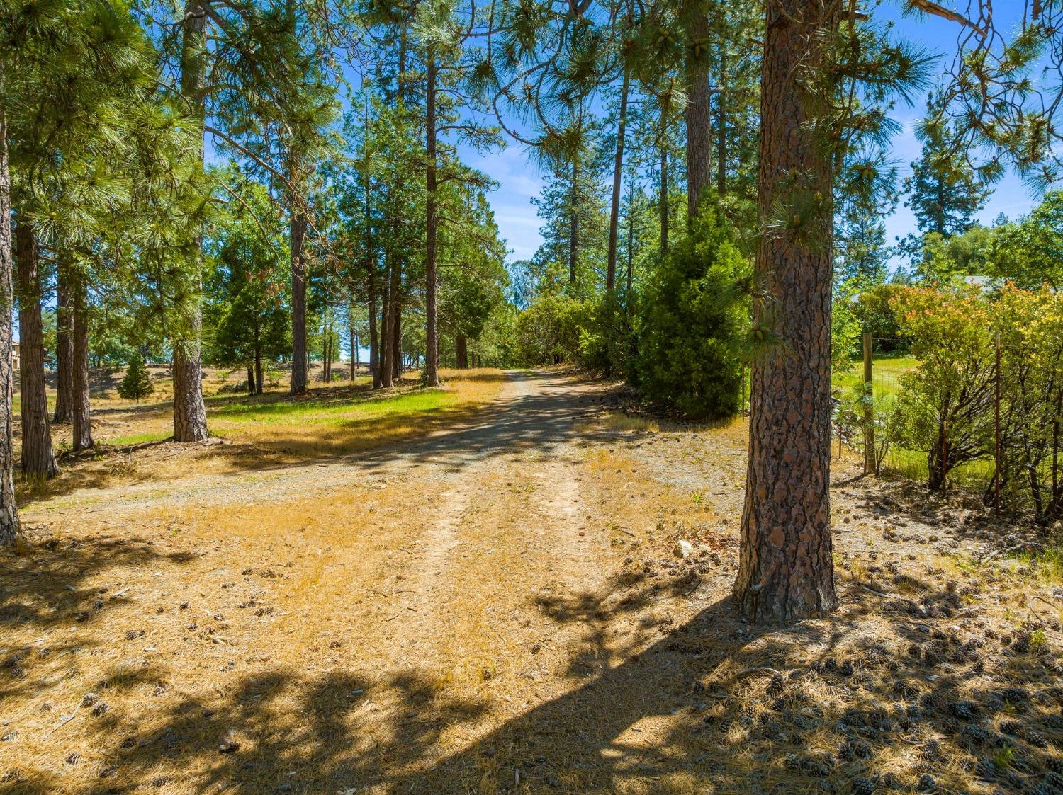 Detail Gallery Image 69 of 72 For 2195 Dias Dr, Placerville,  CA 95667 - 3 Beds | 3/1 Baths