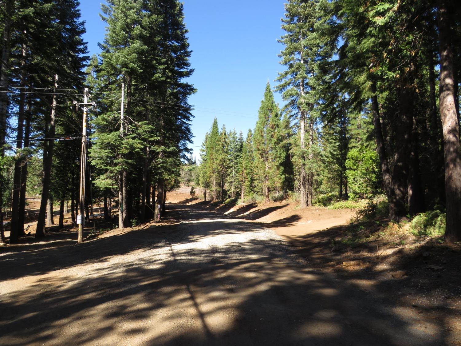 Detail Gallery Image 26 of 32 For 0 36.1 Acres -  Kearsarge Mill Rd, Alta,  CA 95701 - – Beds | – Baths