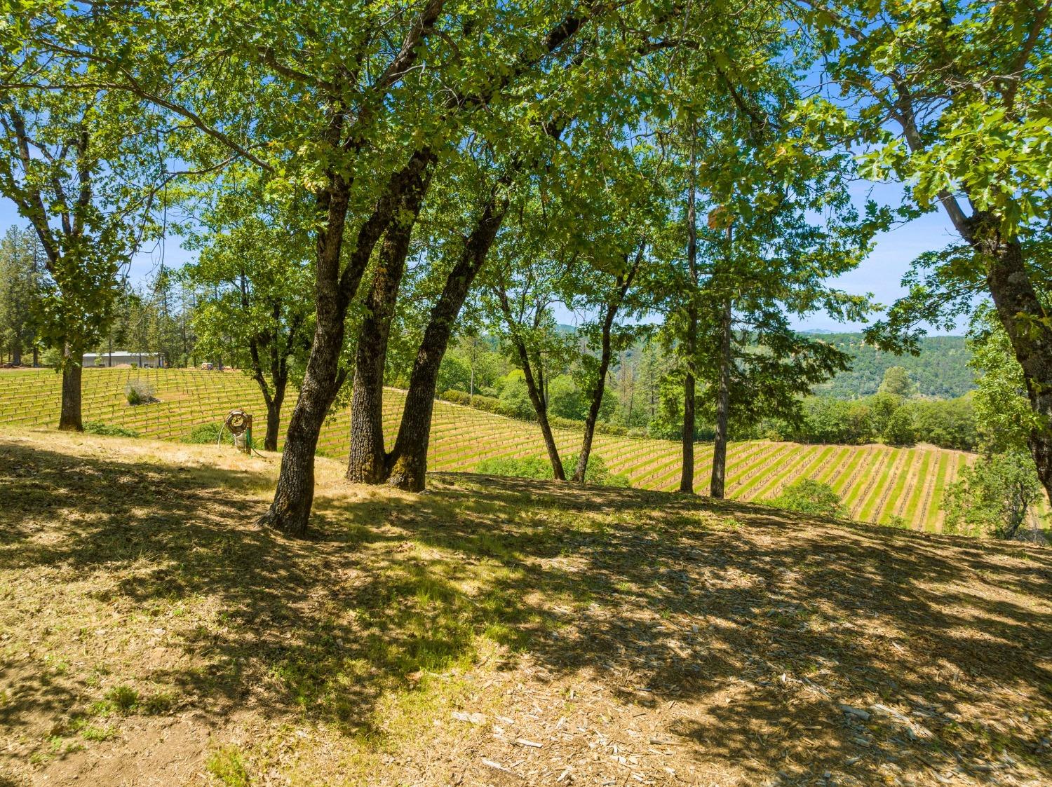 Detail Gallery Image 51 of 72 For 2195 Dias Dr, Placerville,  CA 95667 - 3 Beds | 3/1 Baths