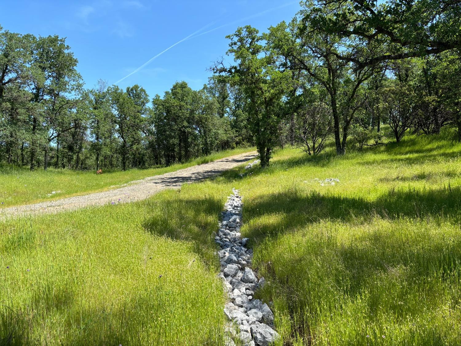 Todd Way, Cottonwood, California image 6