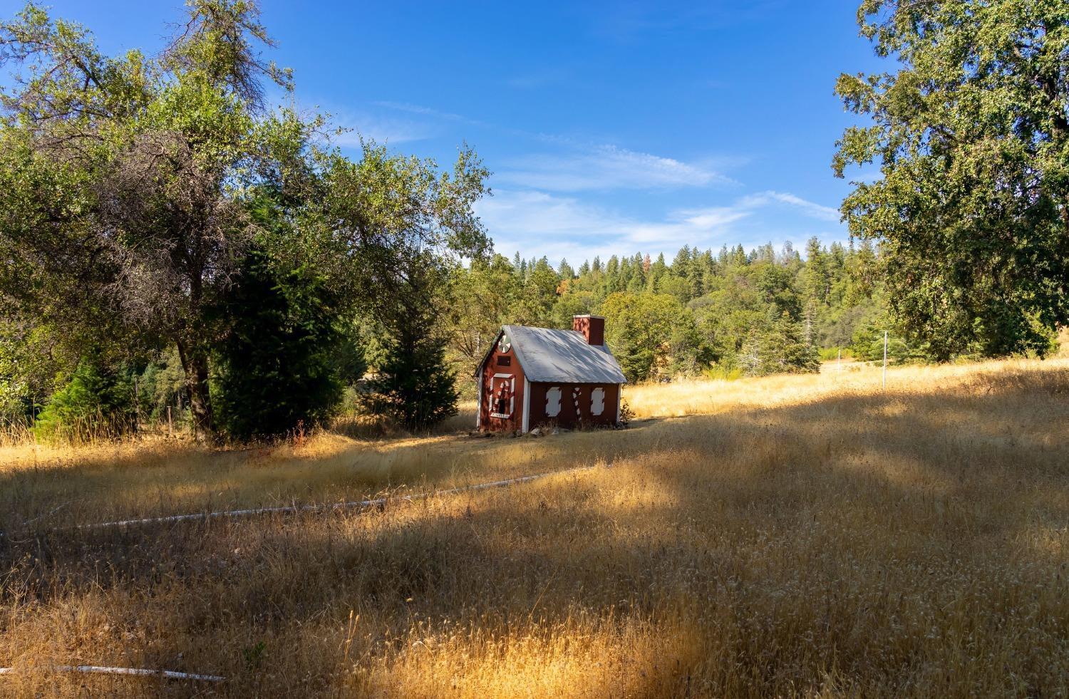 Detail Gallery Image 34 of 41 For 2465 Syd Rd, Greenwood,  CA 95635 - – Beds | – Baths