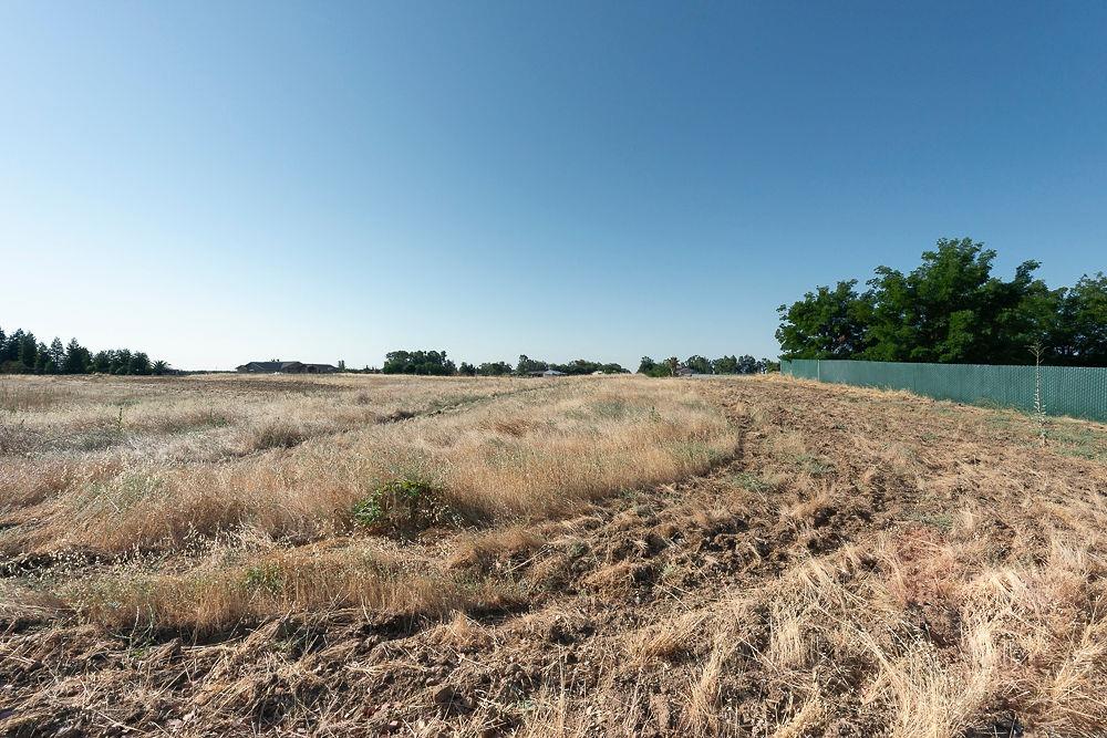 Stabulis Court, Madera, California image 8