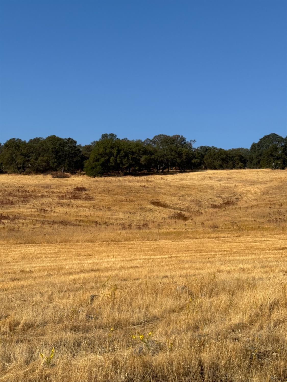 Detail Gallery Image 12 of 19 For 0 Hollow Oak, El Dorado Hills,  CA 95762 - – Beds | – Baths