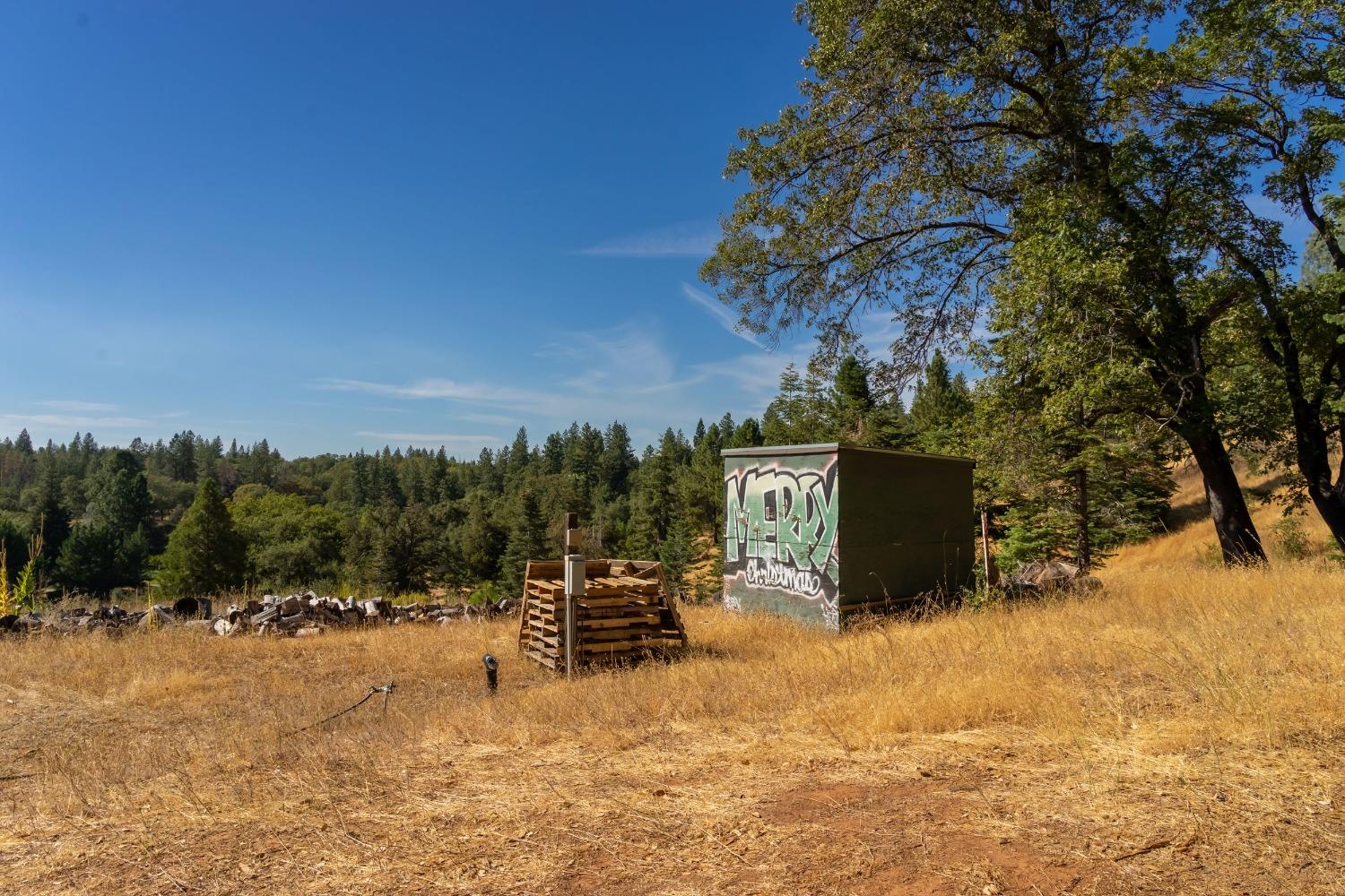 Syd Road, Greenwood, California image 31