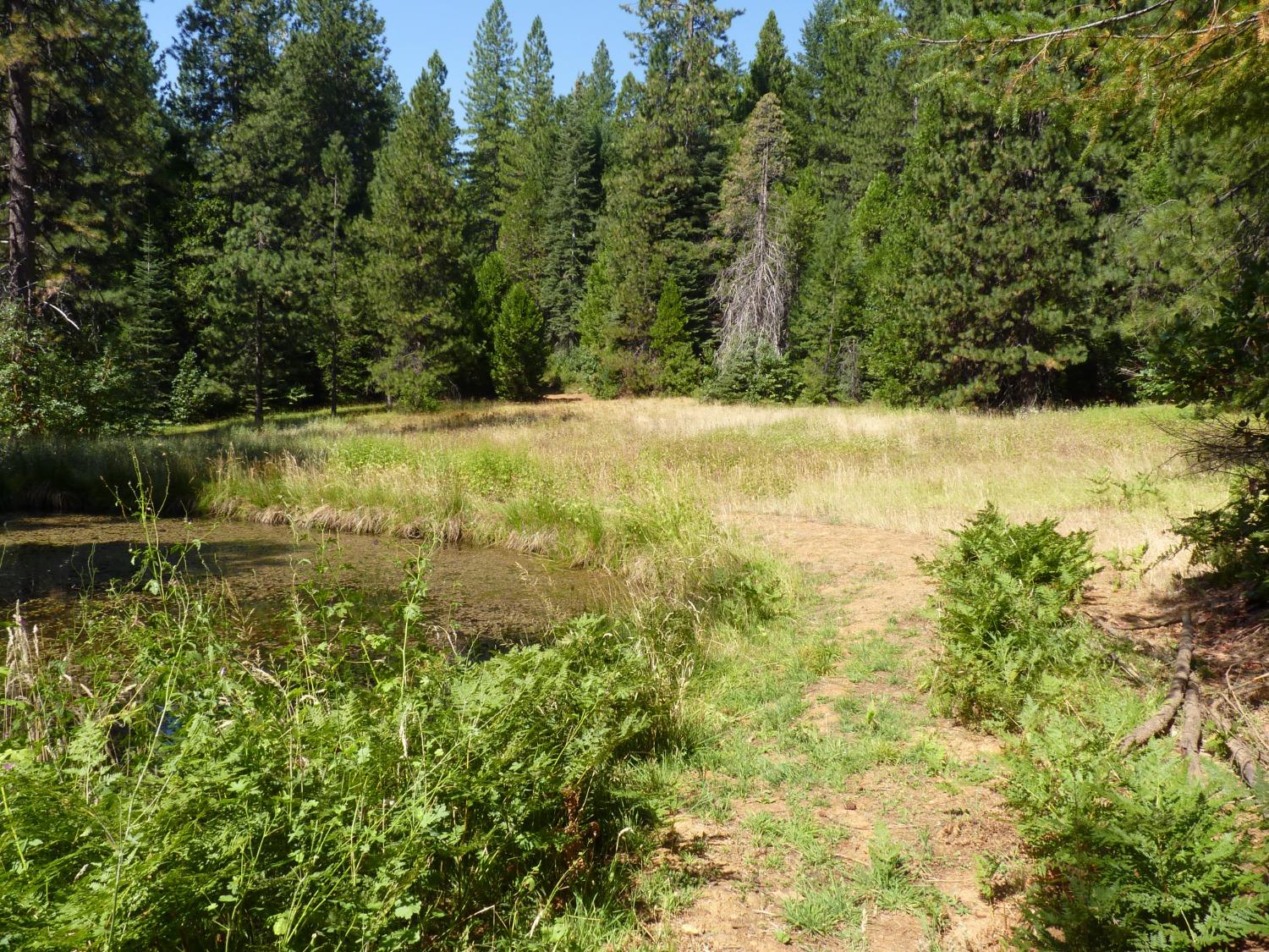 La Porte Road, Strawberry Valley, California image 9