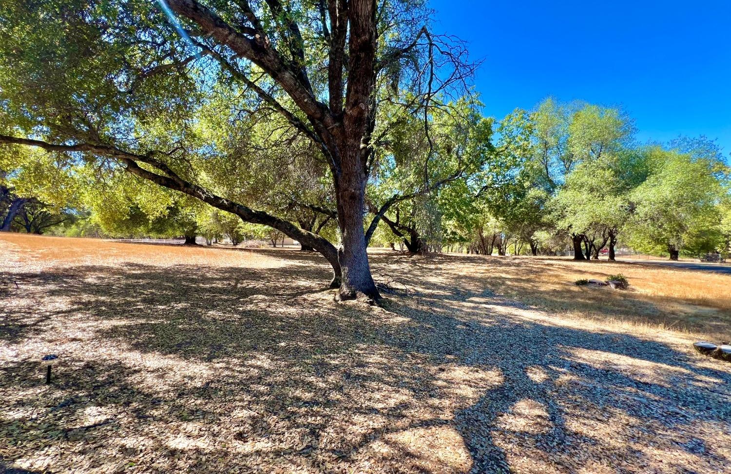 Detail Gallery Image 29 of 30 For 3320 Gold Country Drive, El Dorado,  CA 95623 - 3 Beds | 2/1 Baths