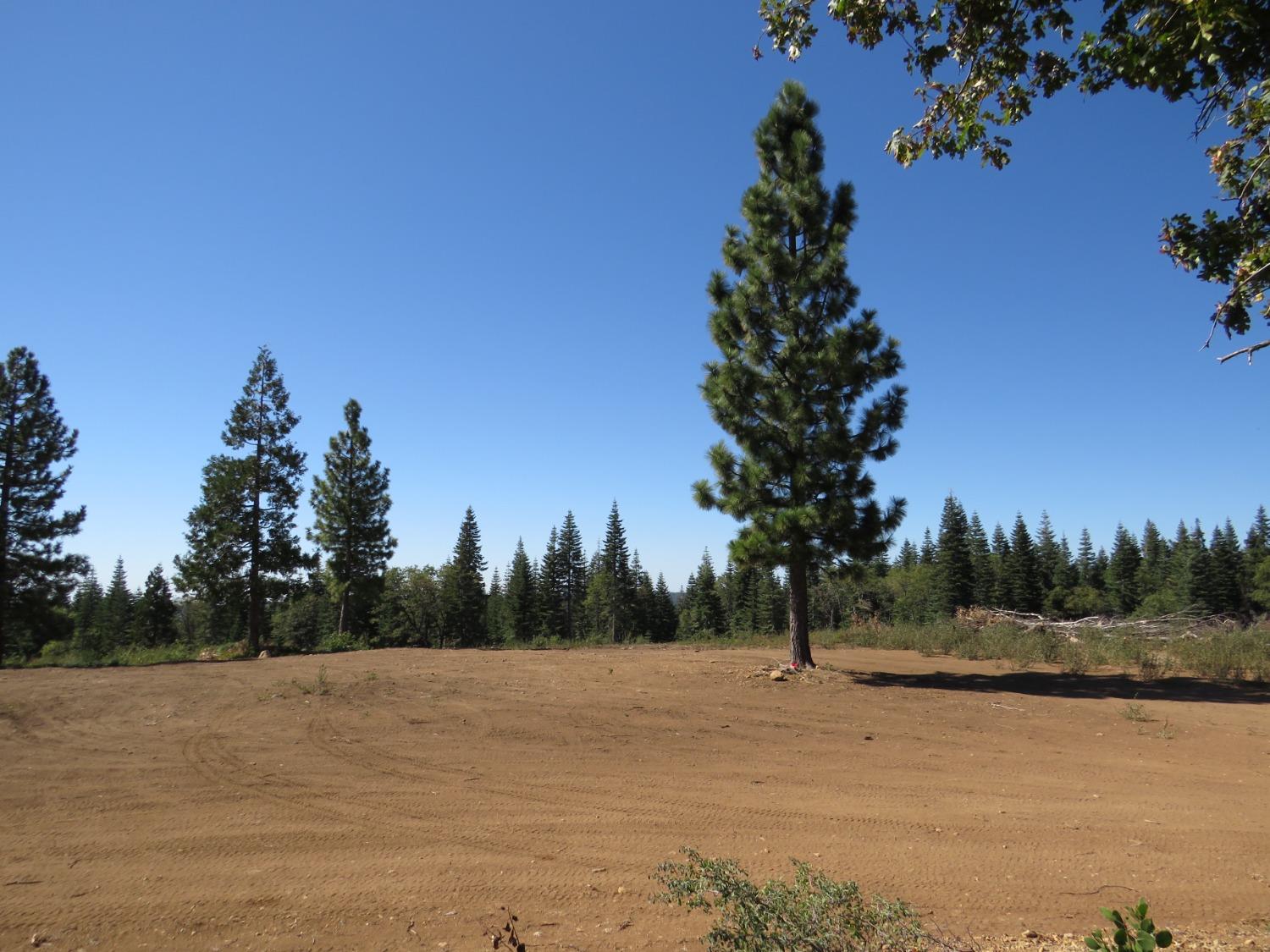 Detail Gallery Image 14 of 32 For 0 36.1 Acres -  Kearsarge Mill Rd, Alta,  CA 95701 - – Beds | – Baths