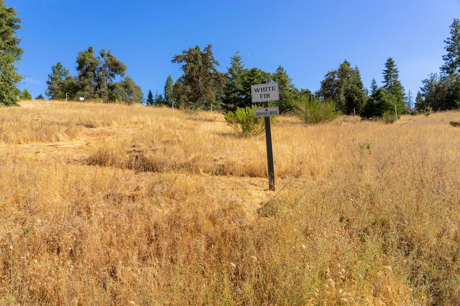 Syd Road, Greenwood, California image 36