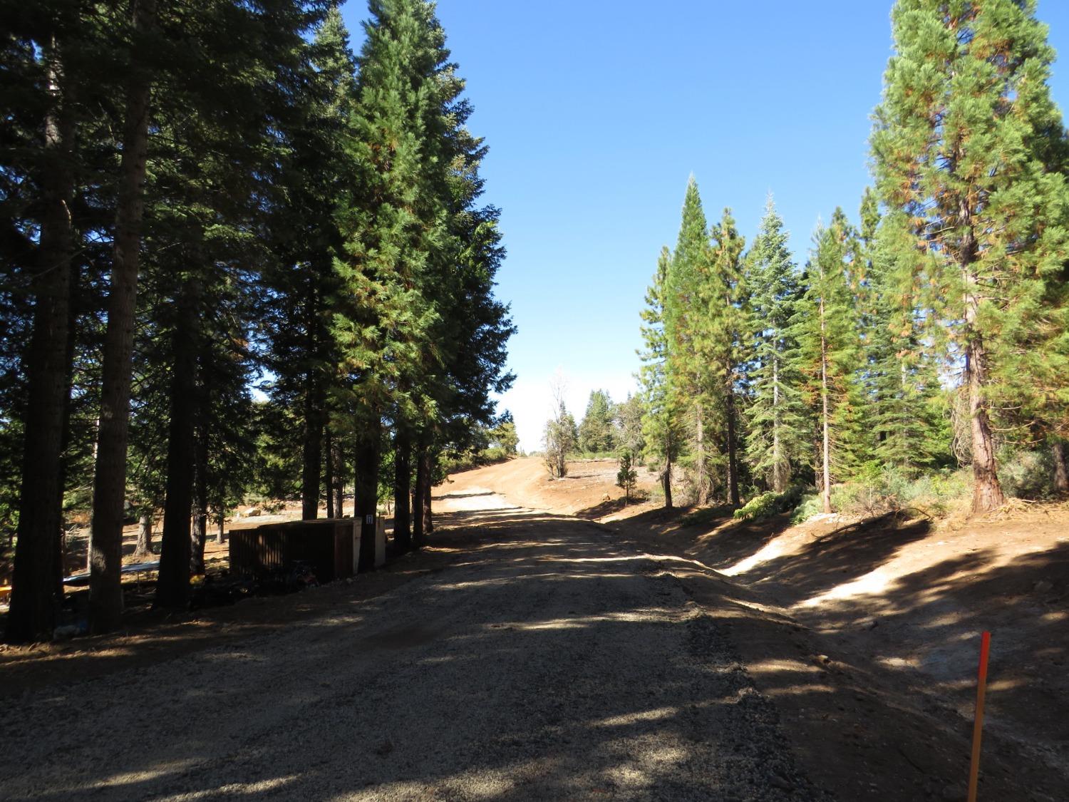 Detail Gallery Image 27 of 32 For 0 36.1 Acres -  Kearsarge Mill Rd, Alta,  CA 95701 - – Beds | – Baths