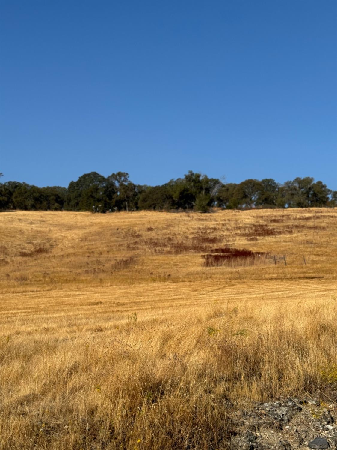 Detail Gallery Image 11 of 19 For 0 Hollow Oak, El Dorado Hills,  CA 95762 - – Beds | – Baths