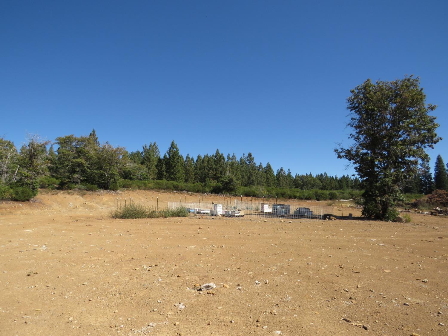 Detail Gallery Image 9 of 32 For 0 36.1 Acres -  Kearsarge Mill Rd, Alta,  CA 95701 - – Beds | – Baths