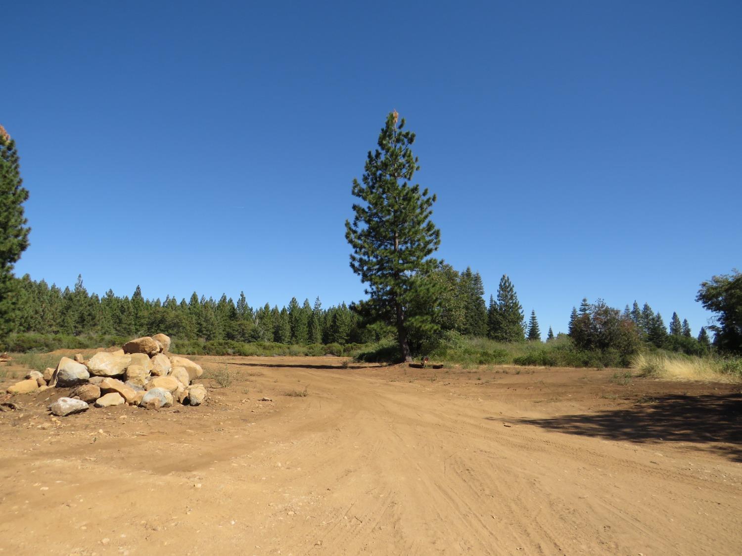 Detail Gallery Image 15 of 32 For 0 36.1 Acres -  Kearsarge Mill Rd, Alta,  CA 95701 - – Beds | – Baths