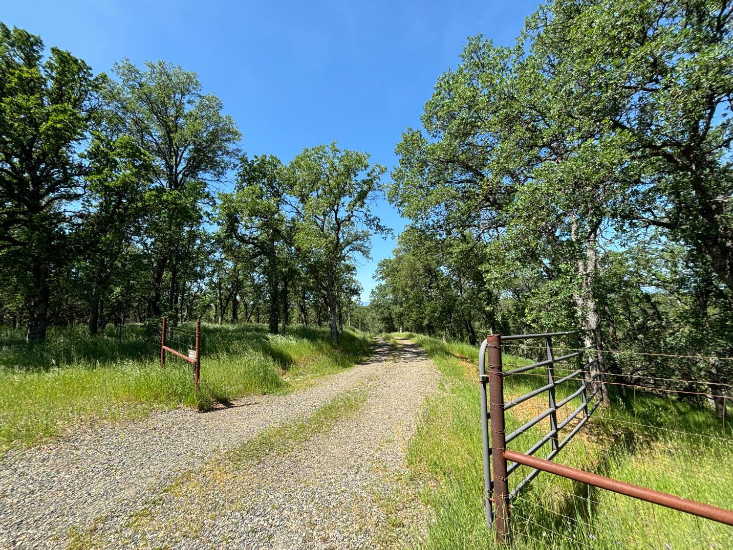 Todd Way, Cottonwood, California image 2