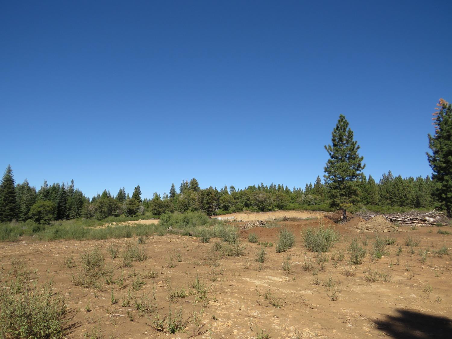 Detail Gallery Image 12 of 32 For 0 36.1 Acres -  Kearsarge Mill Rd, Alta,  CA 95701 - – Beds | – Baths