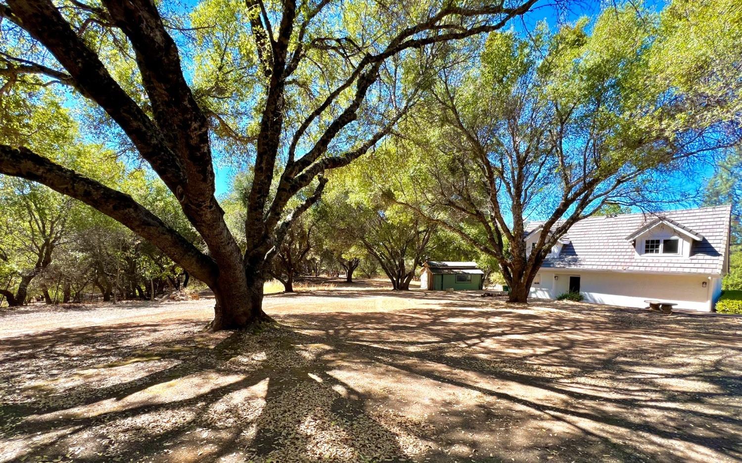 Detail Gallery Image 12 of 30 For 3320 Gold Country Drive, El Dorado,  CA 95623 - 3 Beds | 2/1 Baths