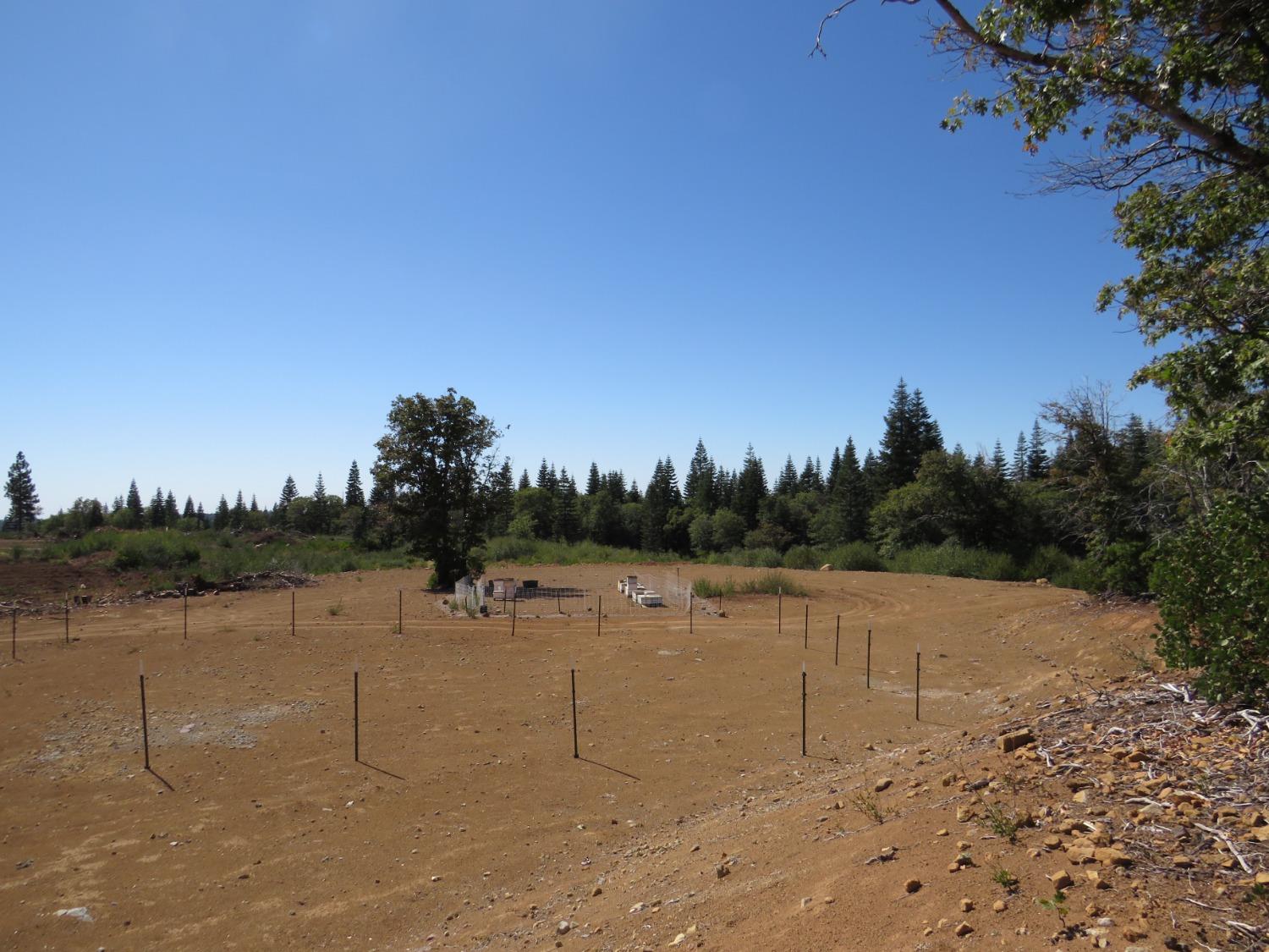 Detail Gallery Image 7 of 32 For 0 36.1 Acres -  Kearsarge Mill Rd, Alta,  CA 95701 - – Beds | – Baths