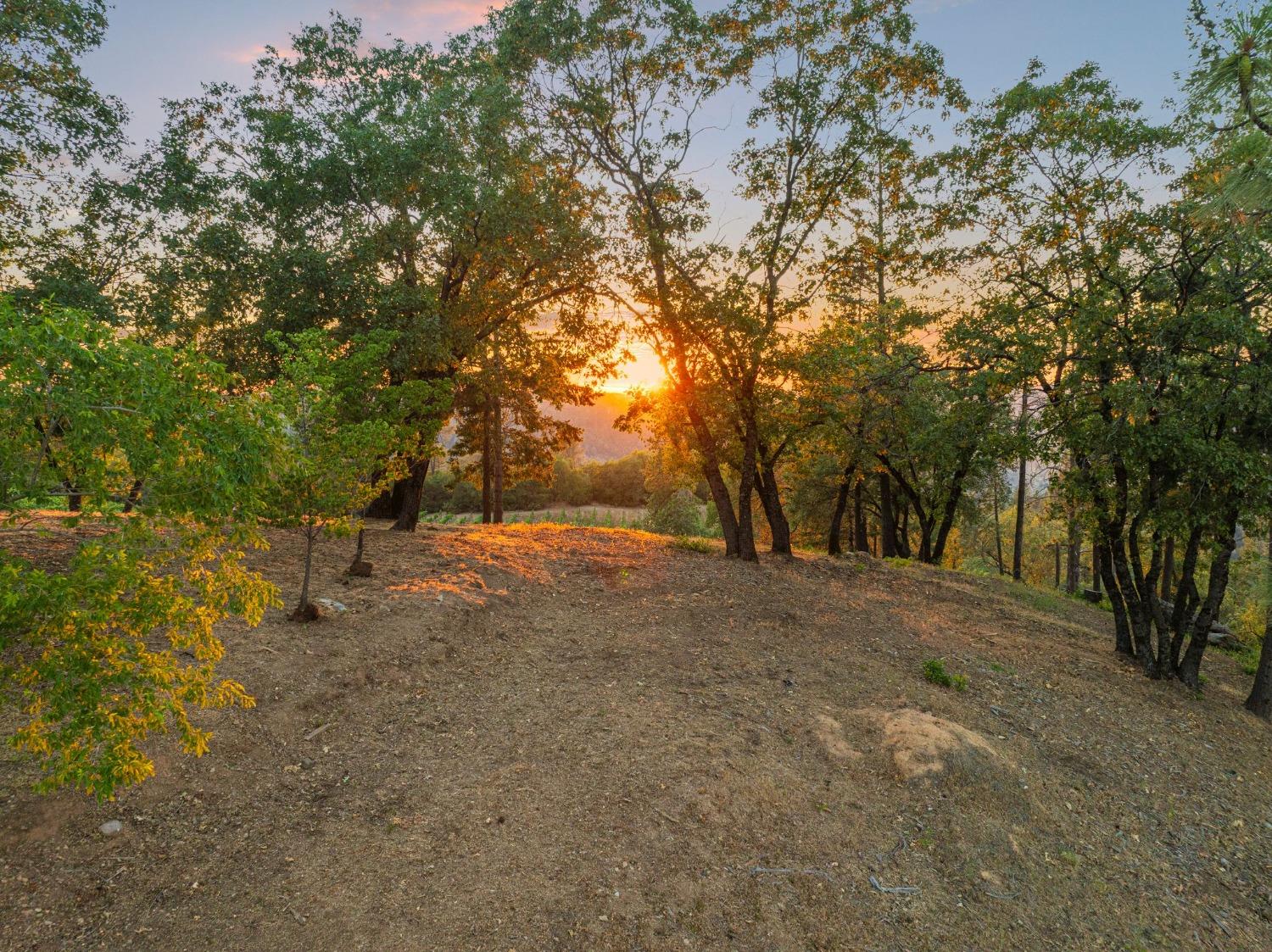 Detail Gallery Image 57 of 72 For 2195 Dias Dr, Placerville,  CA 95667 - 3 Beds | 3/1 Baths