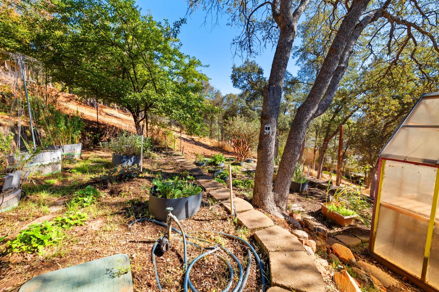 Detail Gallery Image 54 of 61 For 20565 Upper Hillview Dr, Sonora,  CA 95370 - 4 Beds | 3 Baths