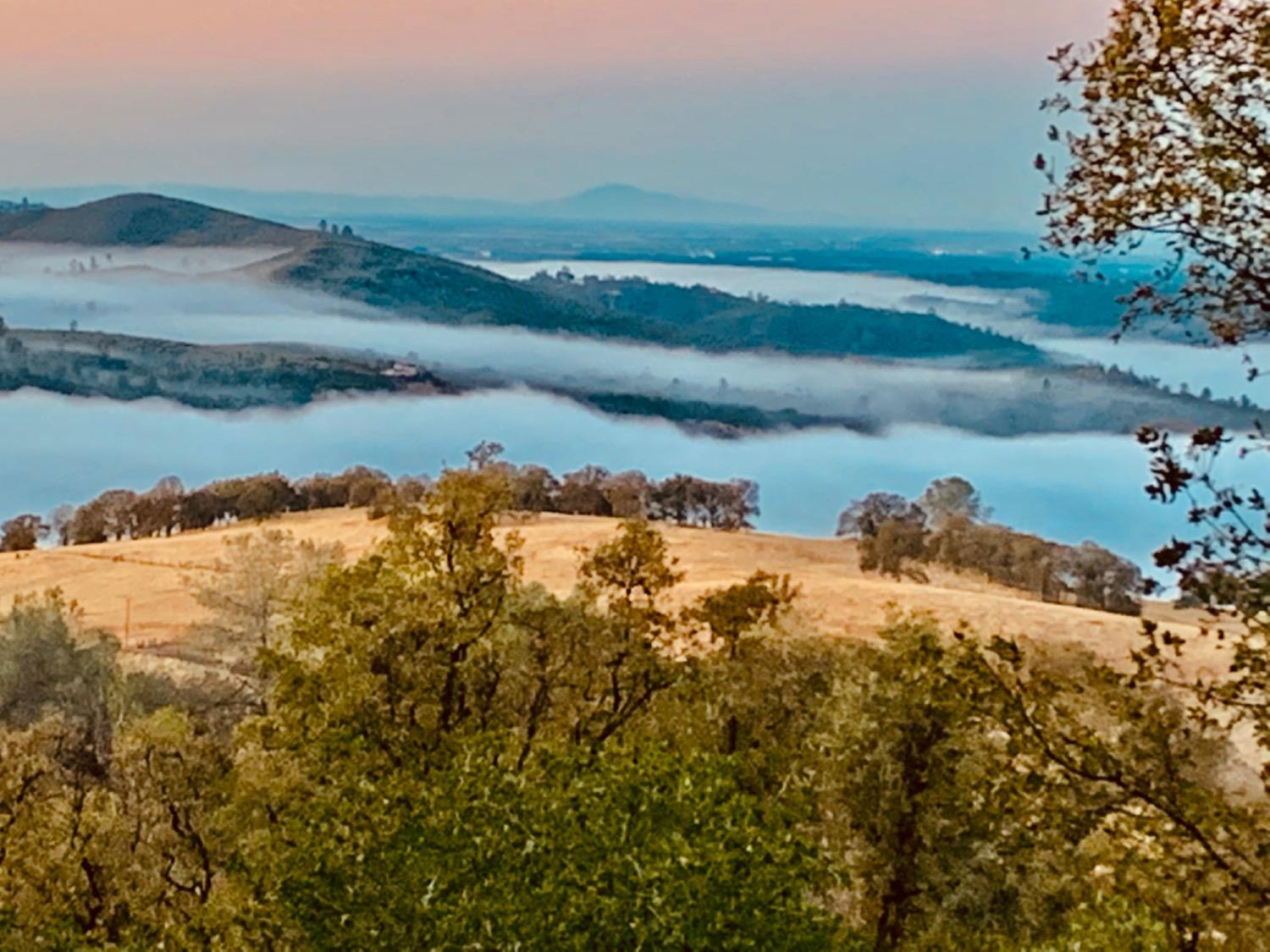 Detail Gallery Image 16 of 61 For 1410 Hound Hollow Rd, Pilot Hill,  CA 95664 - 4 Beds | 3/1 Baths