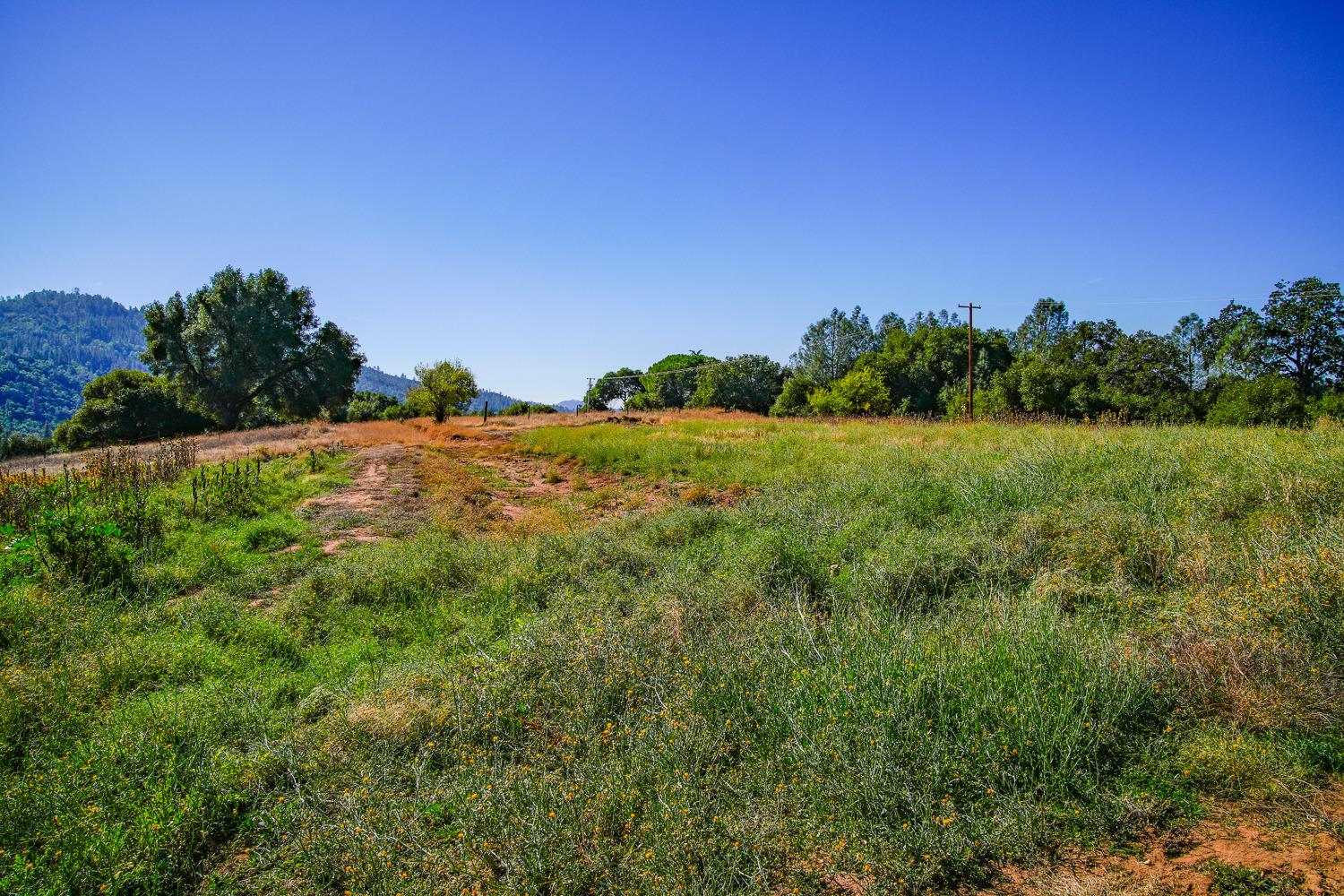 La Porte Road, Rackerby, California image 8