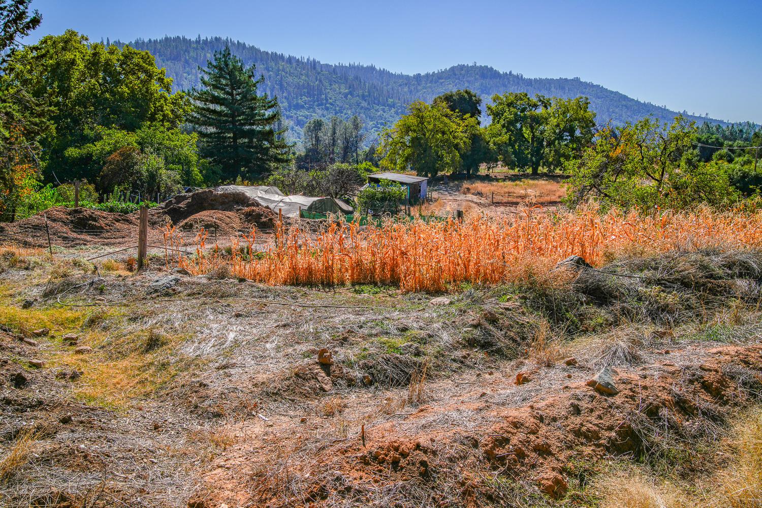 Detail Gallery Image 56 of 91 For 7552 La Porte Rd, Rackerby,  CA 95972 - 2 Beds | 1 Baths