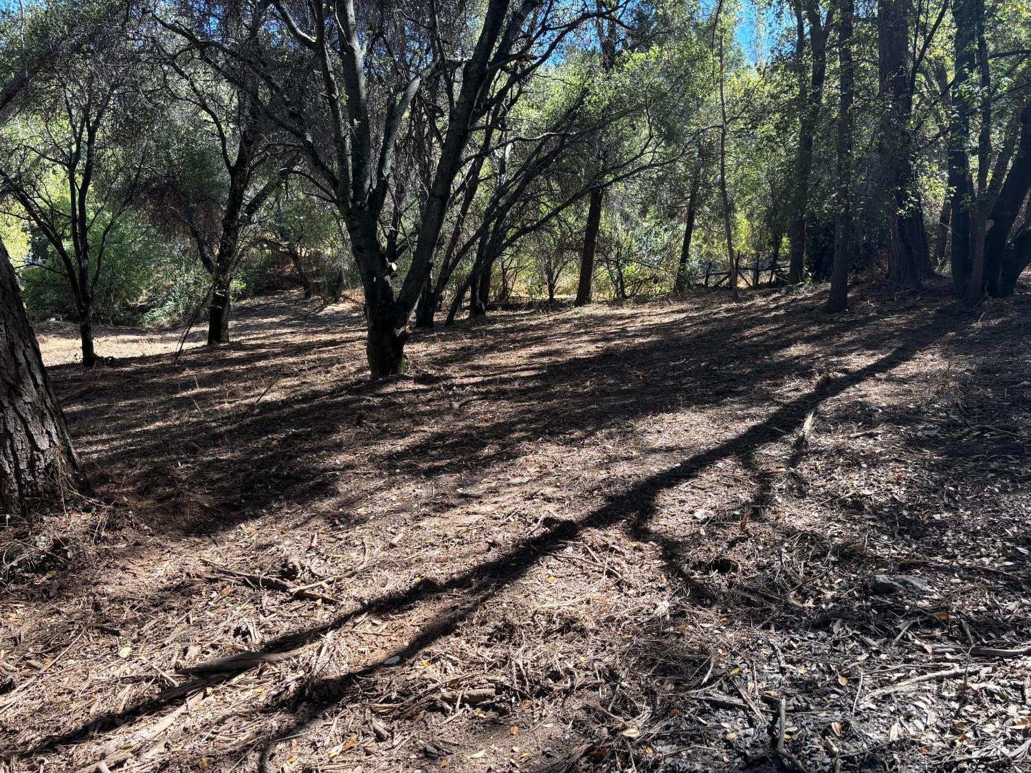 Gold Dust Trail, Sutter Creek, California image 4