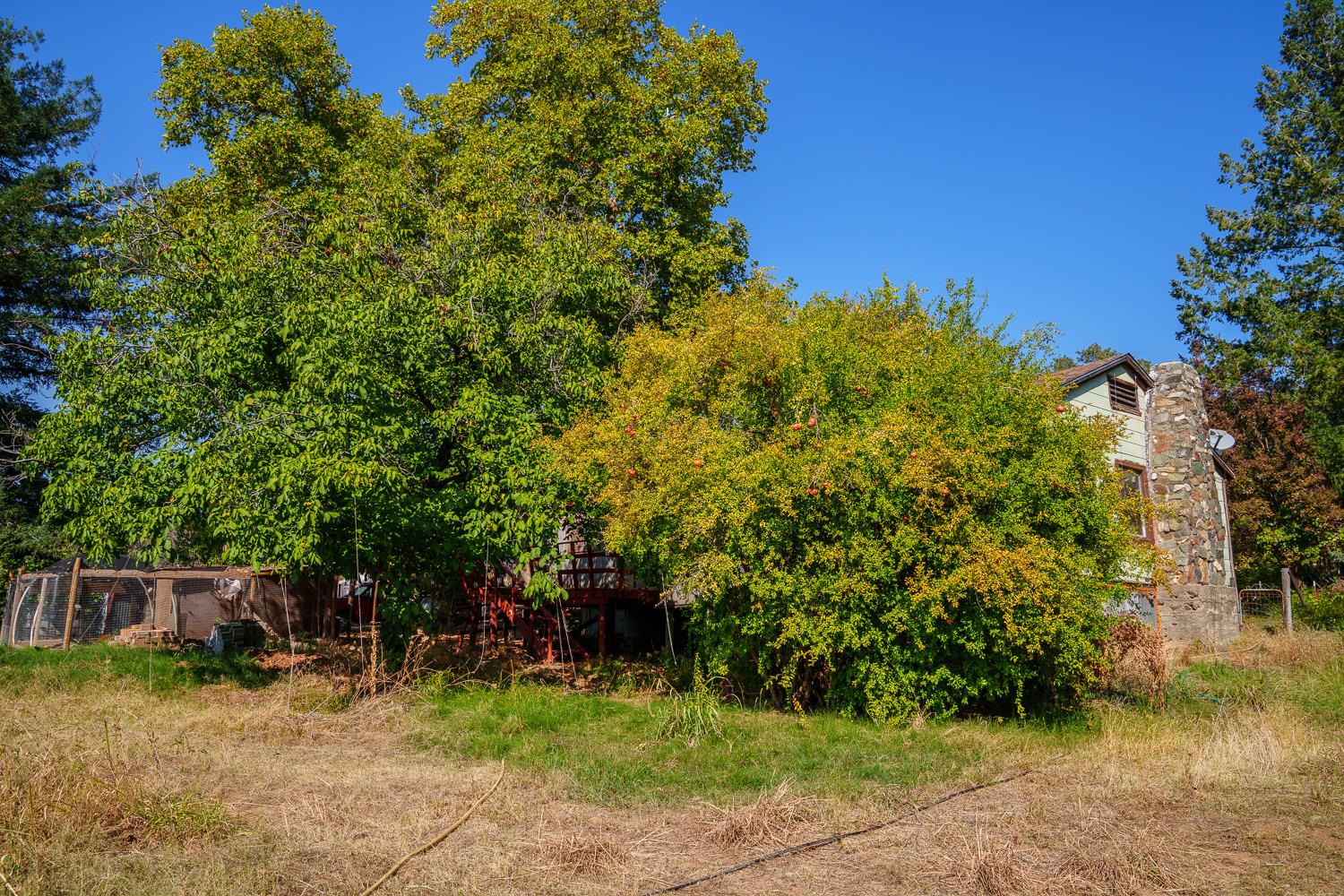 Detail Gallery Image 69 of 91 For 7552 La Porte Rd, Rackerby,  CA 95972 - 2 Beds | 1 Baths