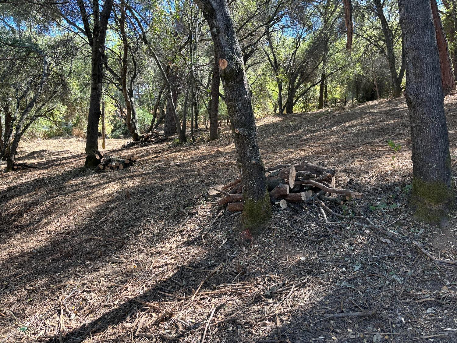 Gold Dust Trail, Sutter Creek, California image 3