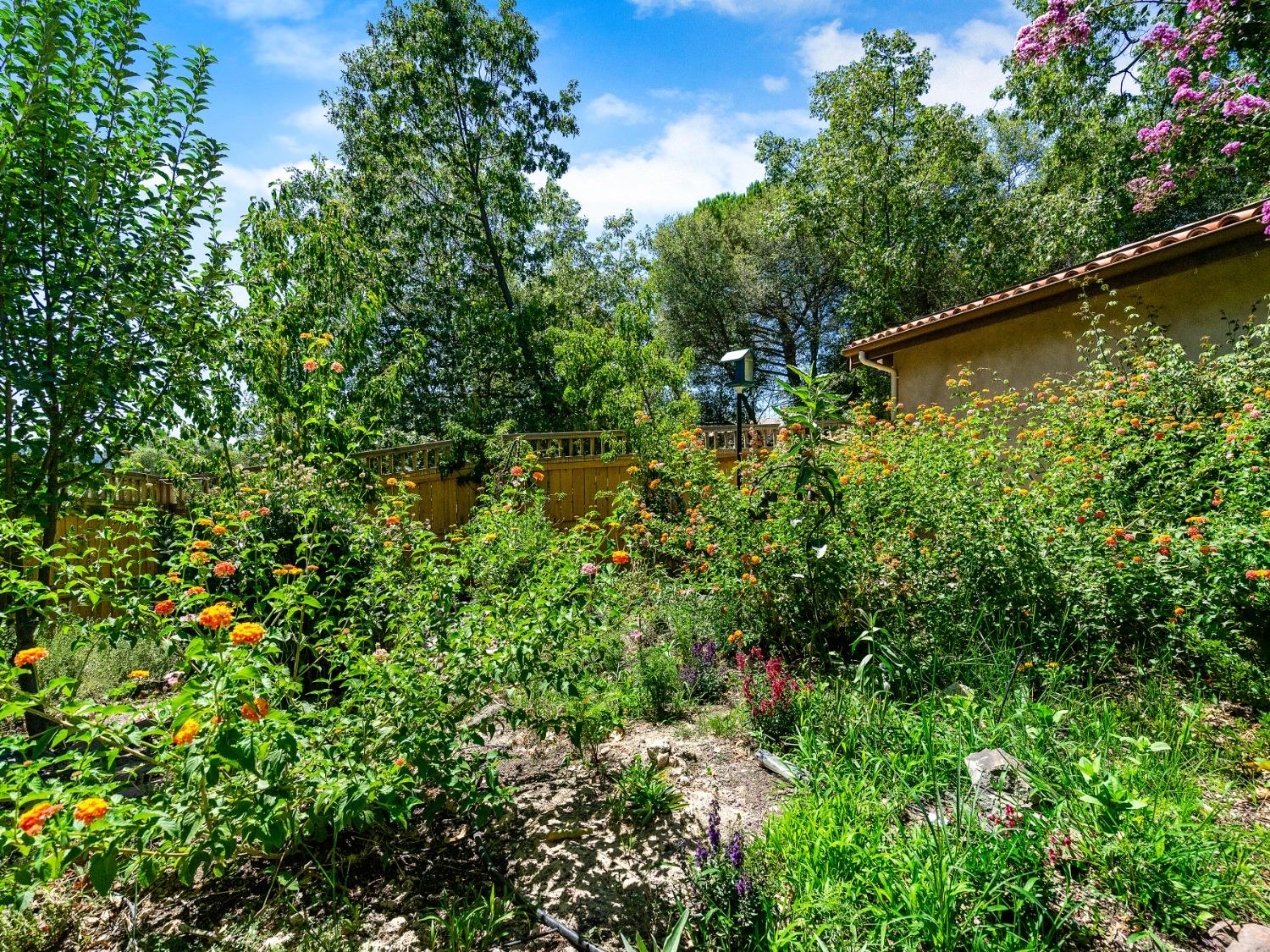 Detail Gallery Image 50 of 56 For 4330 Carlson Way, Diamond Springs,  CA 95619 - 2 Beds | 3/1 Baths