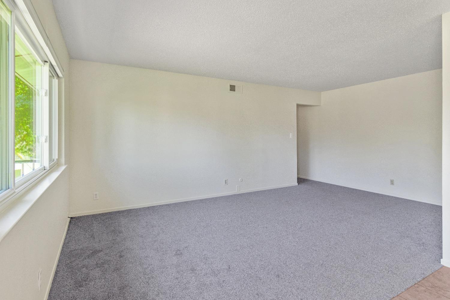 Photo #9: 224079805 Listing 