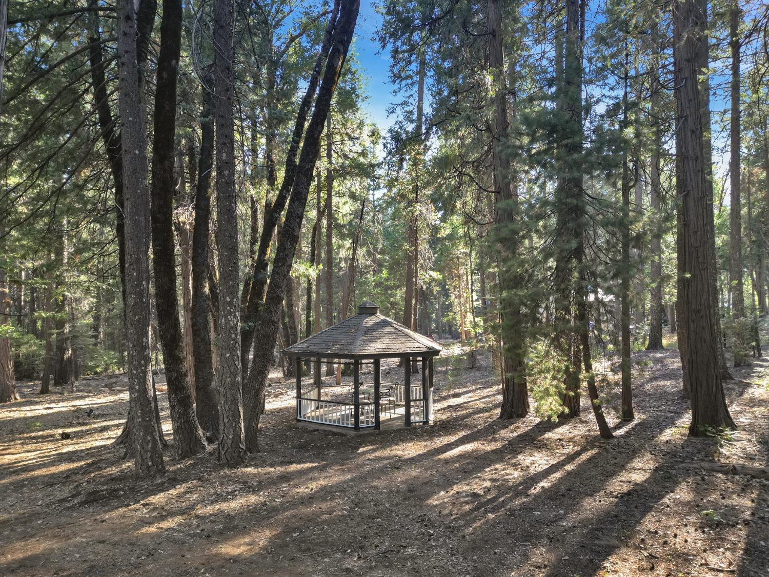 Detail Gallery Image 56 of 95 For 11454 Sky Pines Ridge Rd, Nevada City,  CA 95959 - 3 Beds | 2 Baths