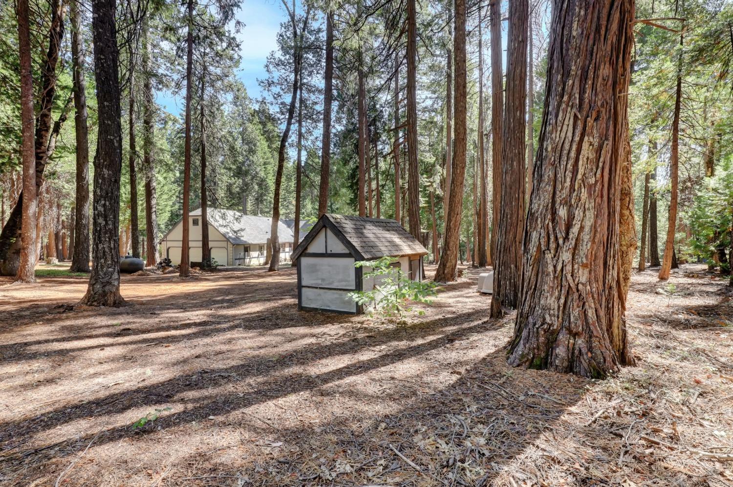 Detail Gallery Image 74 of 95 For 11454 Sky Pines Ridge Rd, Nevada City,  CA 95959 - 3 Beds | 2 Baths