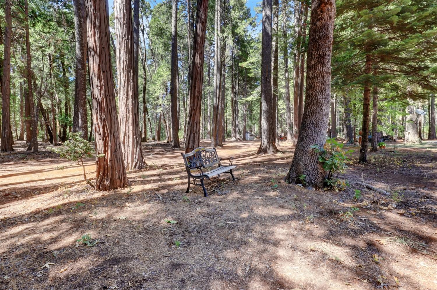 Detail Gallery Image 79 of 95 For 11454 Sky Pines Ridge Rd, Nevada City,  CA 95959 - 3 Beds | 2 Baths