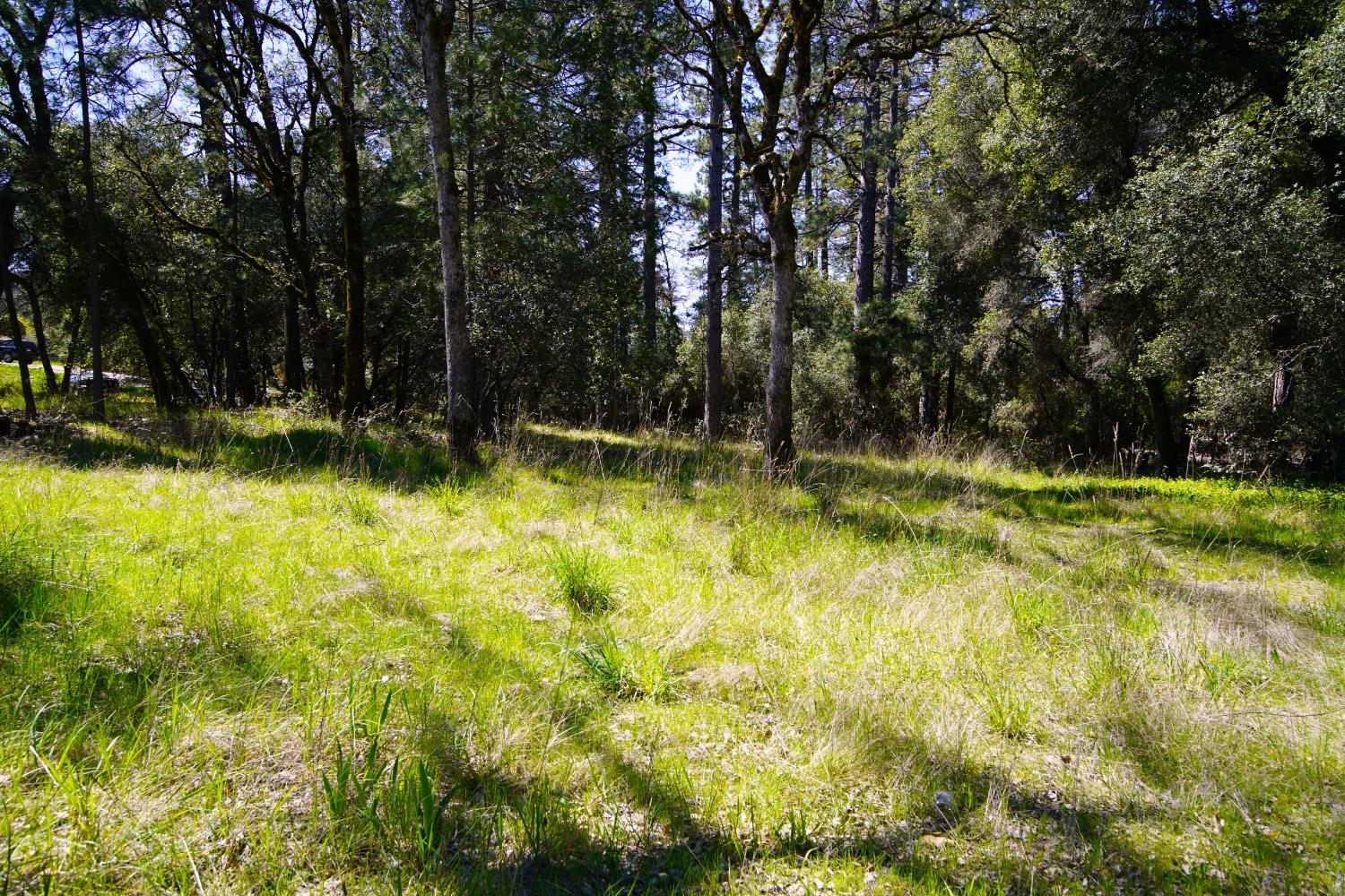 Detail Gallery Image 20 of 29 For 10806 Beckville Rd, Nevada City,  CA 95959 - 2 Beds | 2 Baths