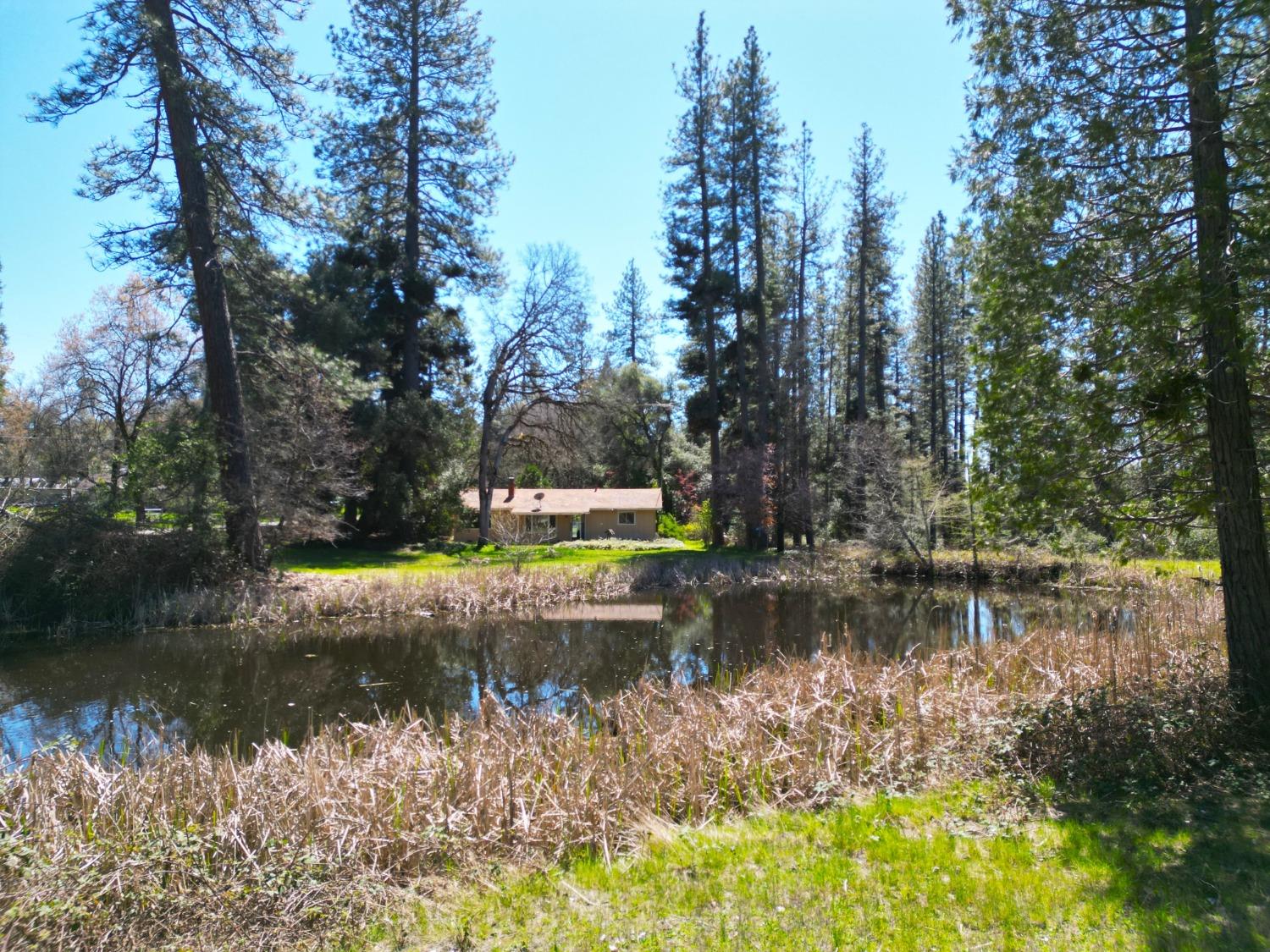 Detail Gallery Image 2 of 29 For 10806 Beckville Rd, Nevada City,  CA 95959 - 2 Beds | 2 Baths