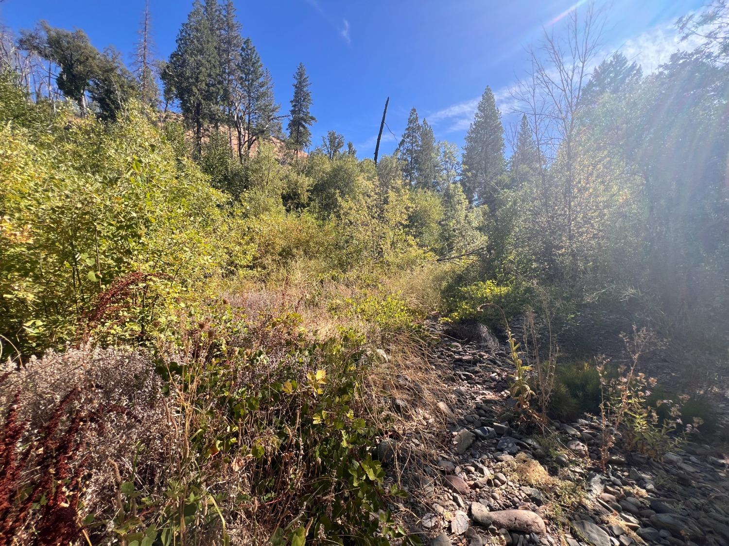 Cedar Springs Rd, Mountain Ranch, California image 3