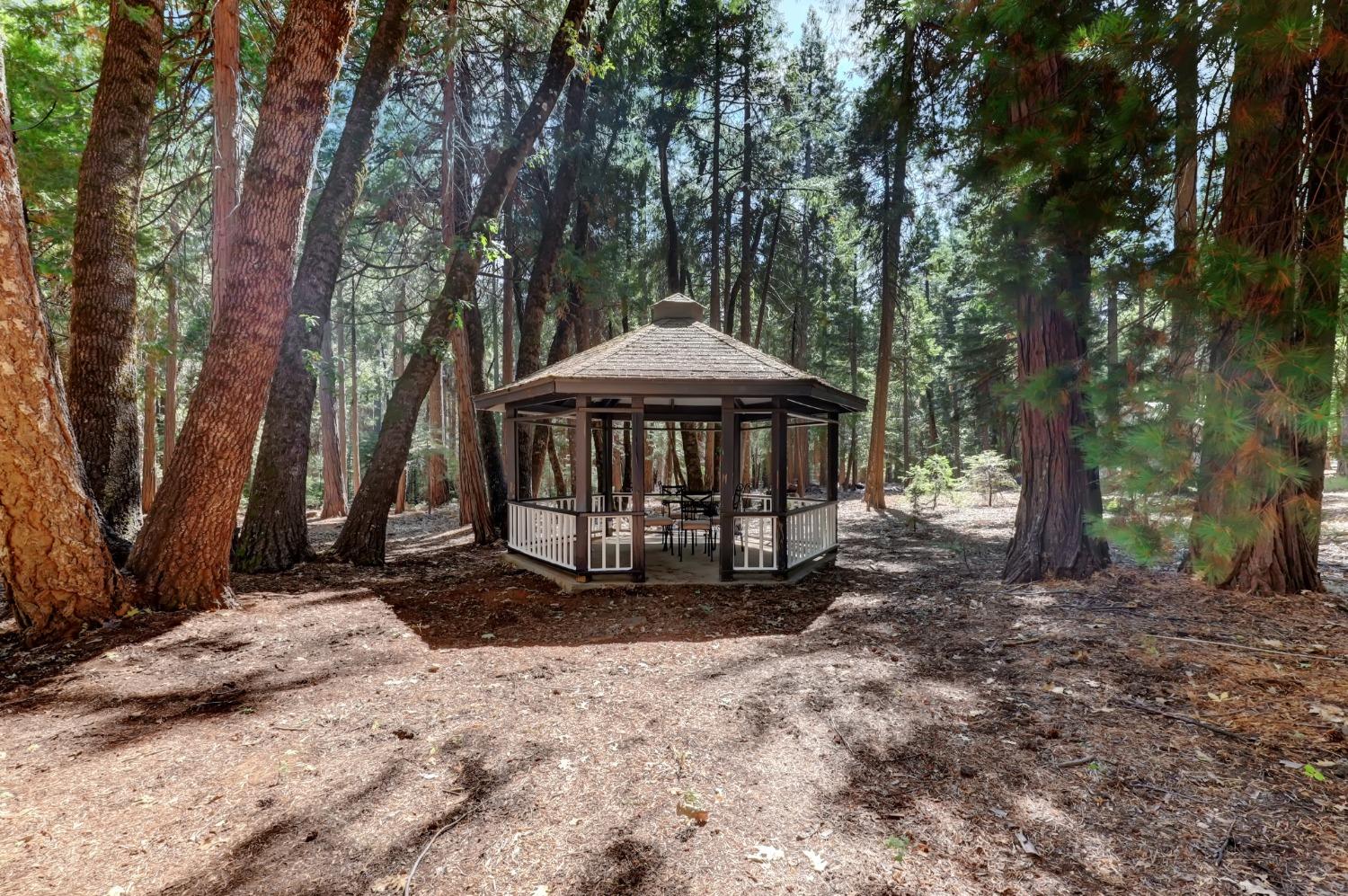 Detail Gallery Image 77 of 95 For 11454 Sky Pines Ridge Rd, Nevada City,  CA 95959 - 3 Beds | 2 Baths