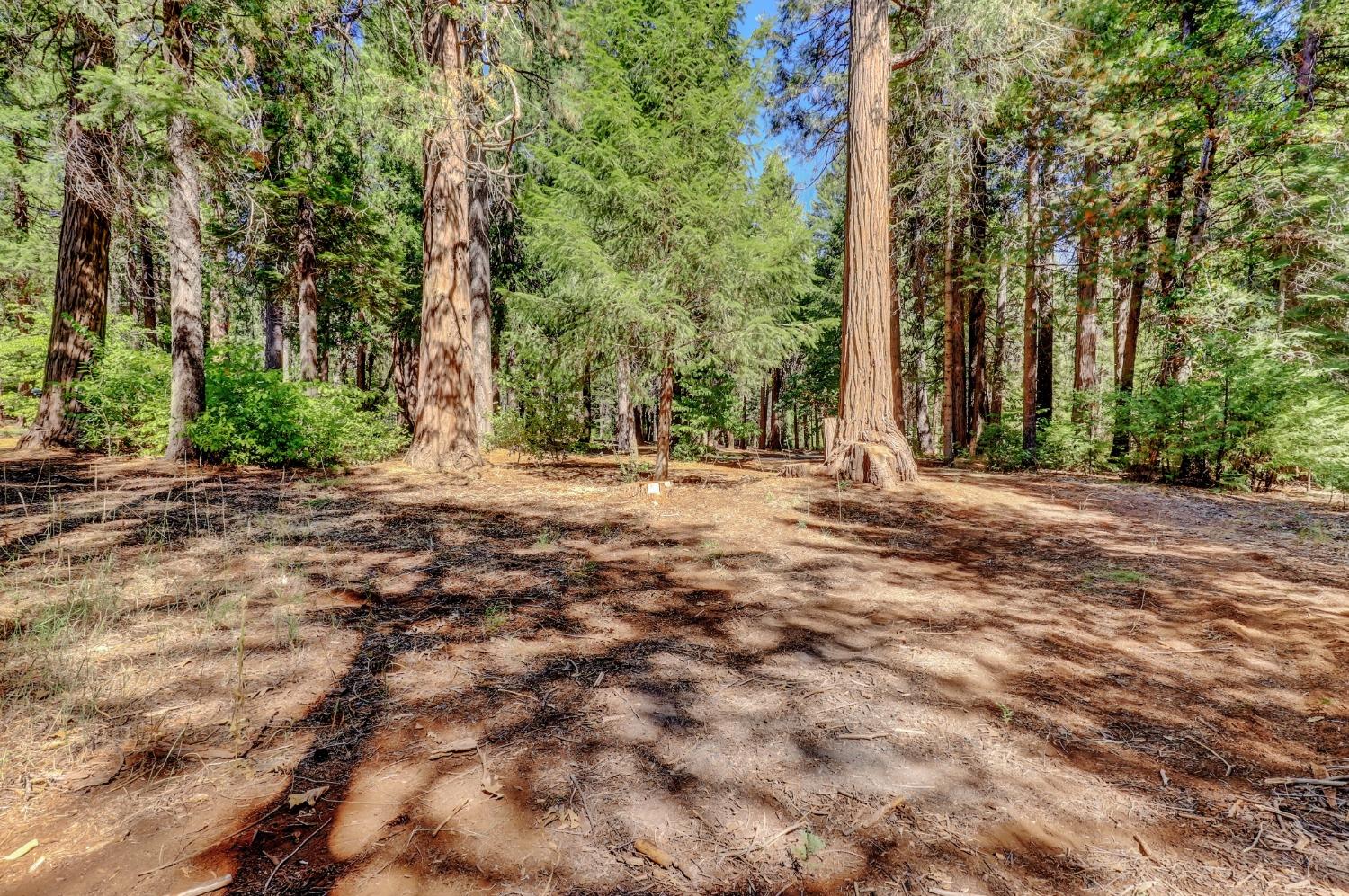 Detail Gallery Image 88 of 95 For 11454 Sky Pines Ridge Rd, Nevada City,  CA 95959 - 3 Beds | 2 Baths